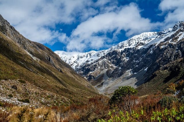 Arthurs Pass Day Tour With TranzAlpine and Jet Boat Ride  - Photo 1 of 8